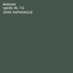 #45564A - Gray Asparagus Color Image